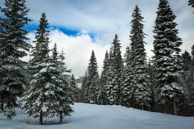 $895,000 | Lot 12 North Loop Road, Unit 6, New Meadows, ID 83654