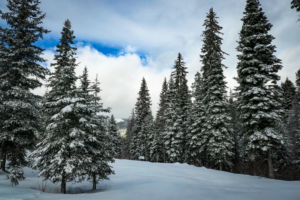 Lot 12 North Loop Road, Unit 6 New Meadows, ID 83654 - Photo 10 of 29