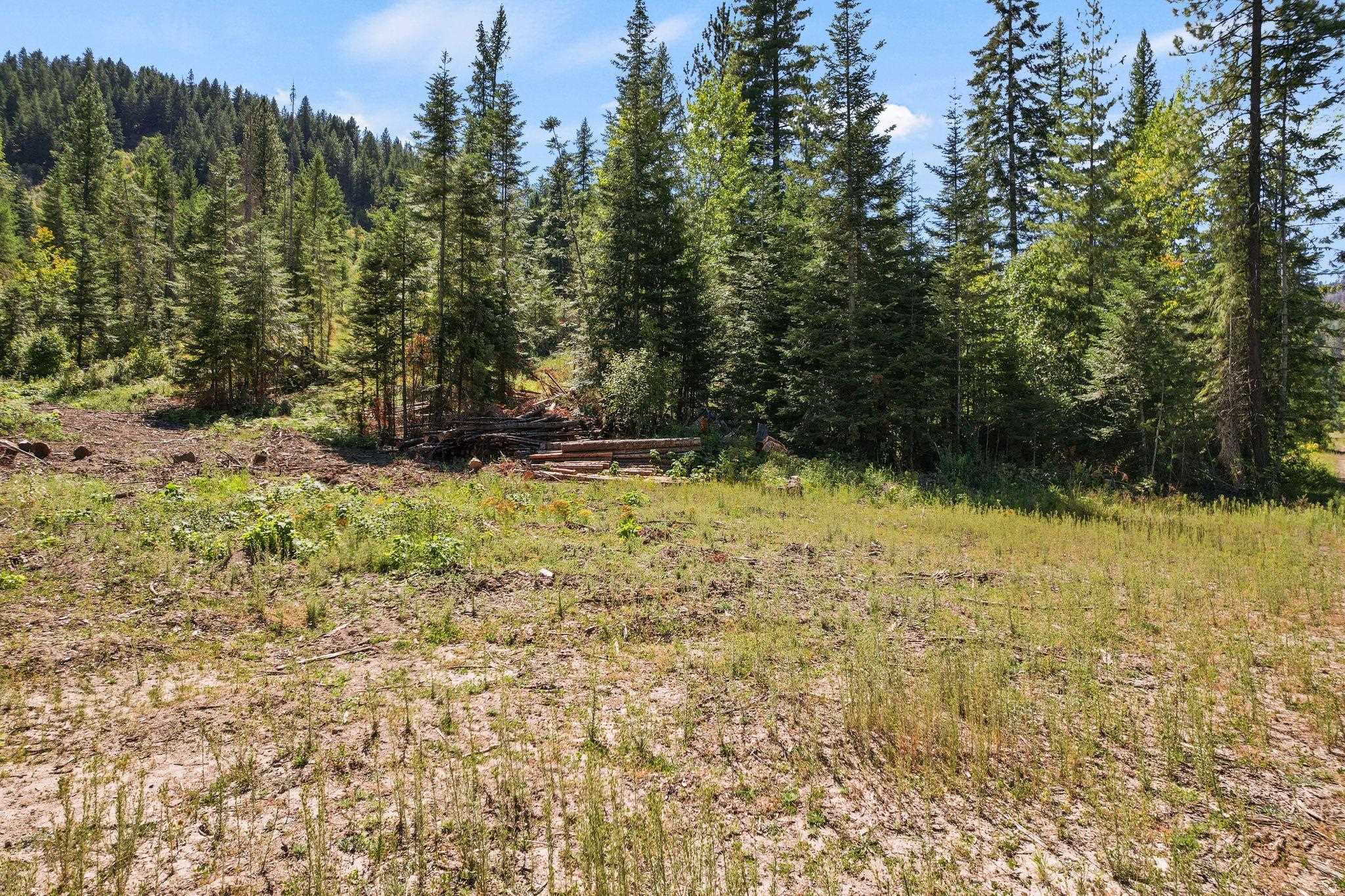 4941 Redman Lots B And C Road Clayton, WA 99110 - Photo 18 of 44