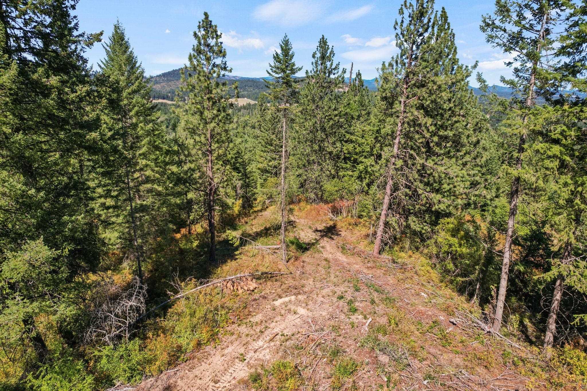 4941 Redman Lots B And C Road Clayton, WA 99110 - Photo 29 of 44