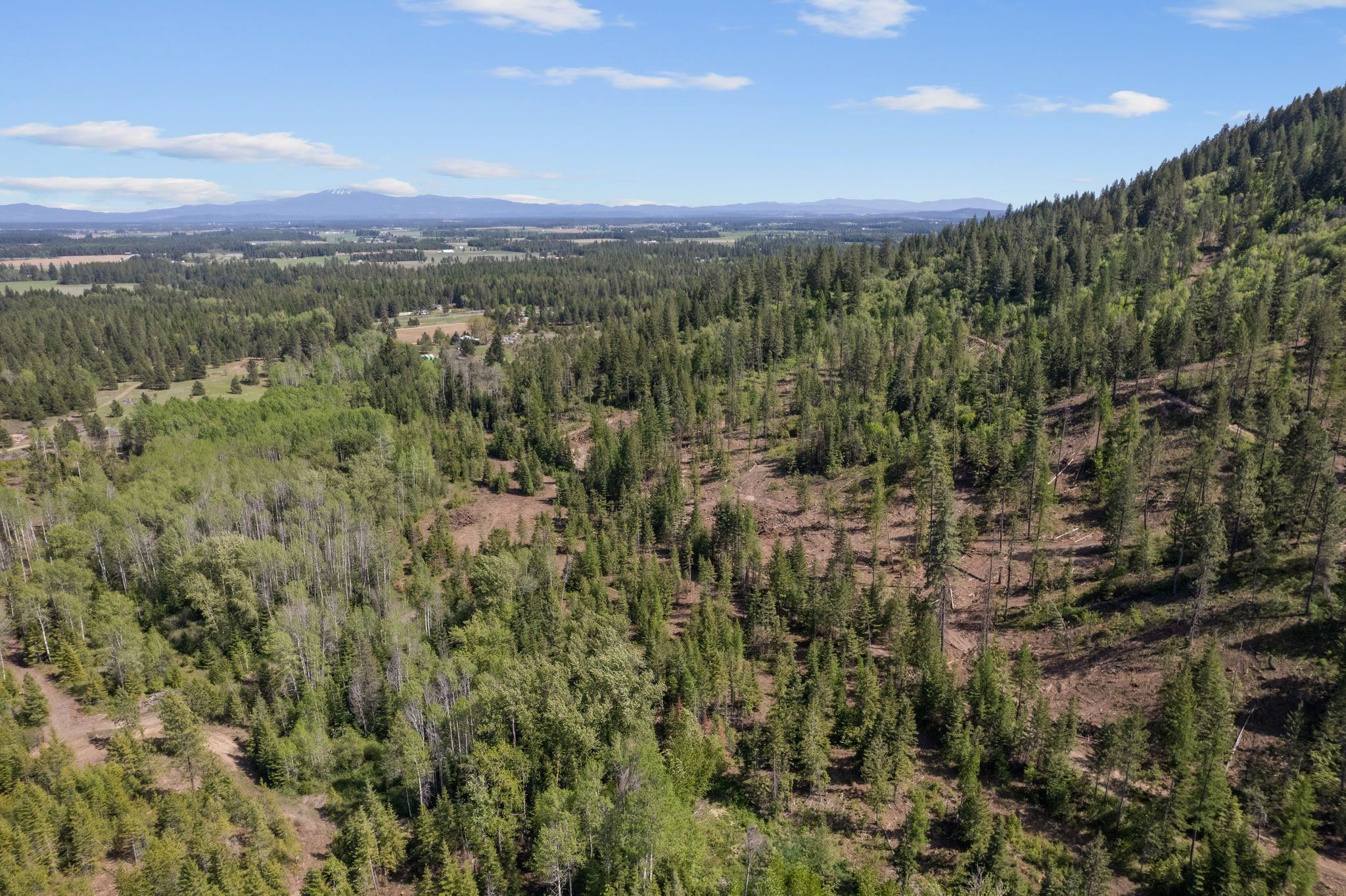 4941 Redman Lots B And C Road Clayton, WA 99110 - Photo 31 of 44