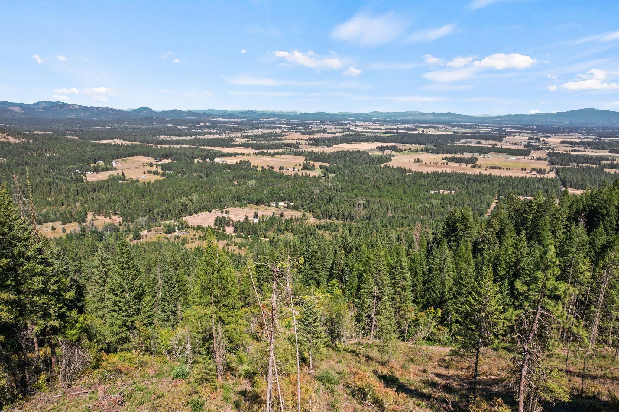 4941 Redman Lots B And C Road Clayton, WA 99110 - Photo 4 of 44