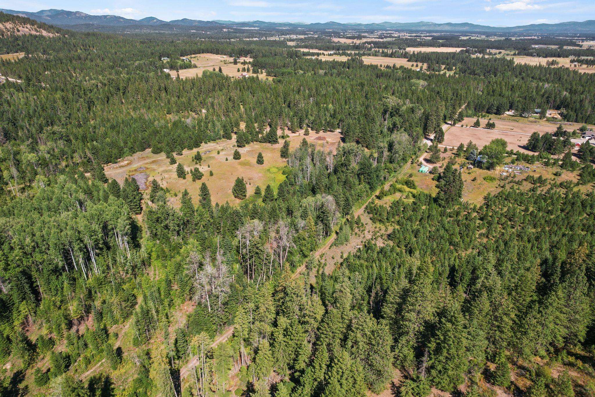4941 Redman Lots B And C Road Clayton, WA 99110 - Photo 42 of 44
