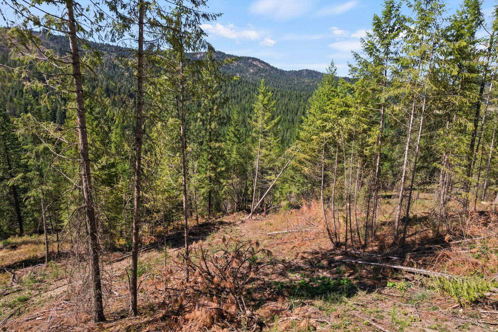 4941 Redman Lots B And C Road Clayton, WA 99110 - Photo 7 of 44