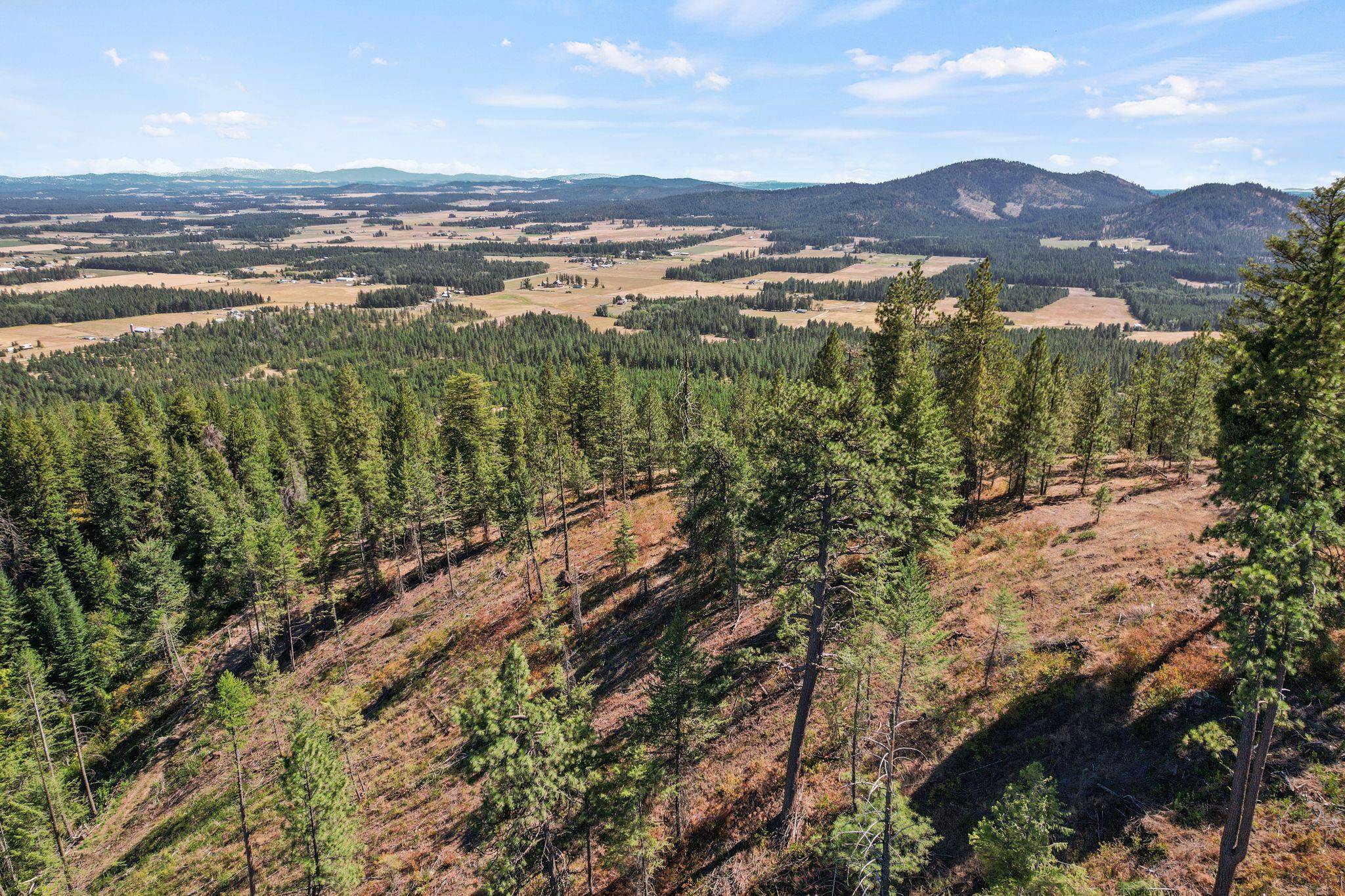 4941 Redman Lots B And C Road Clayton, WA 99110 - Photo 9 of 44