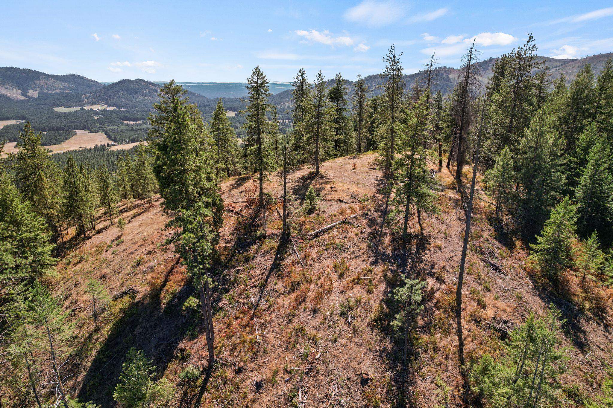 4941 Redman Lots B And C Road Clayton, WA 99110 - Photo 10 of 44