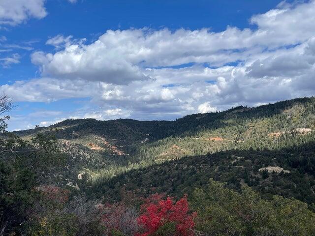 66 Lot Summit Brian Head, UT 84719 - Photo 1 of 1 5 acre lot in Summit