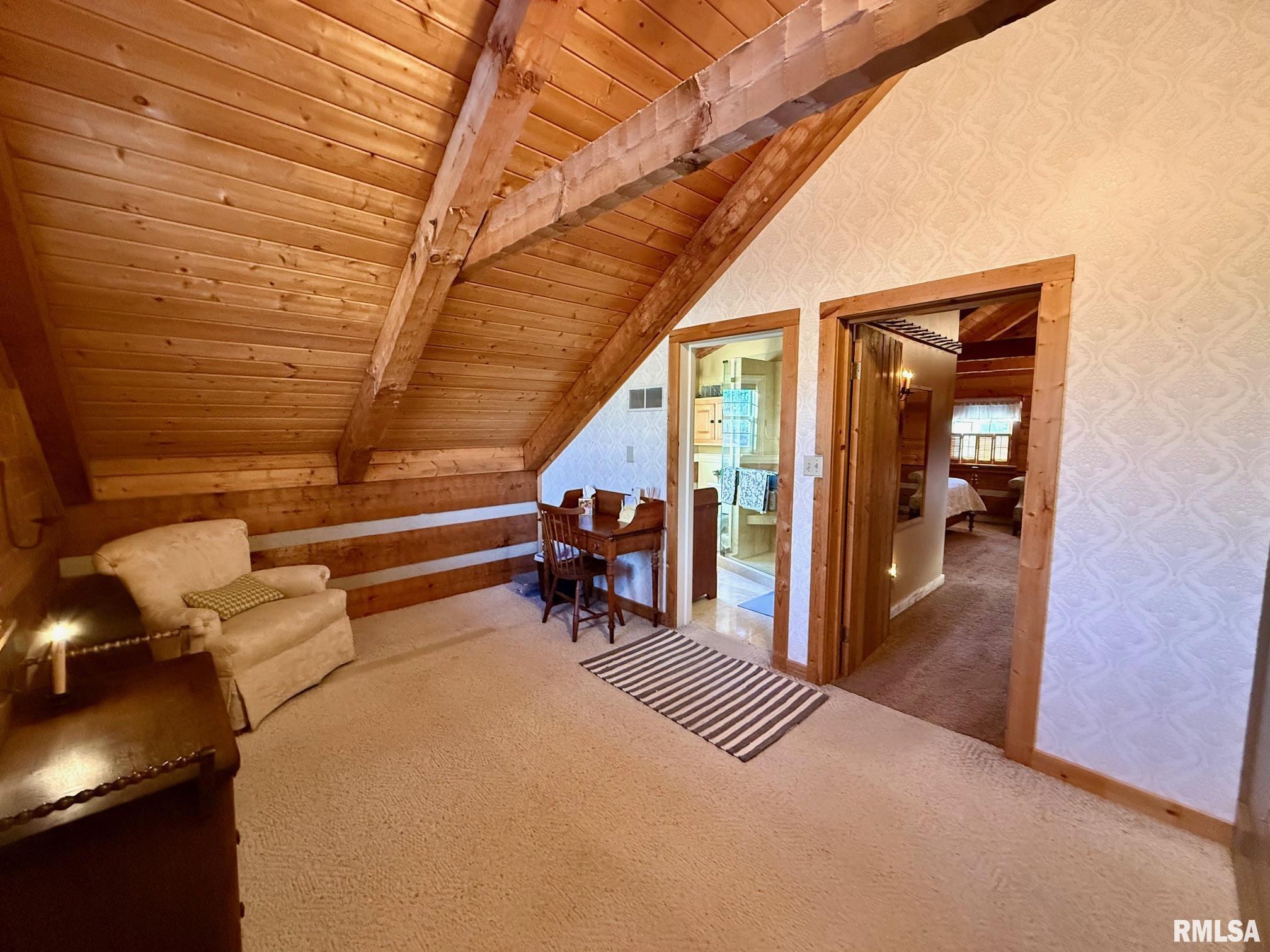 17531 Old Fairgrounds Road Petersburg, IL 62675 - Photo 33 of 66