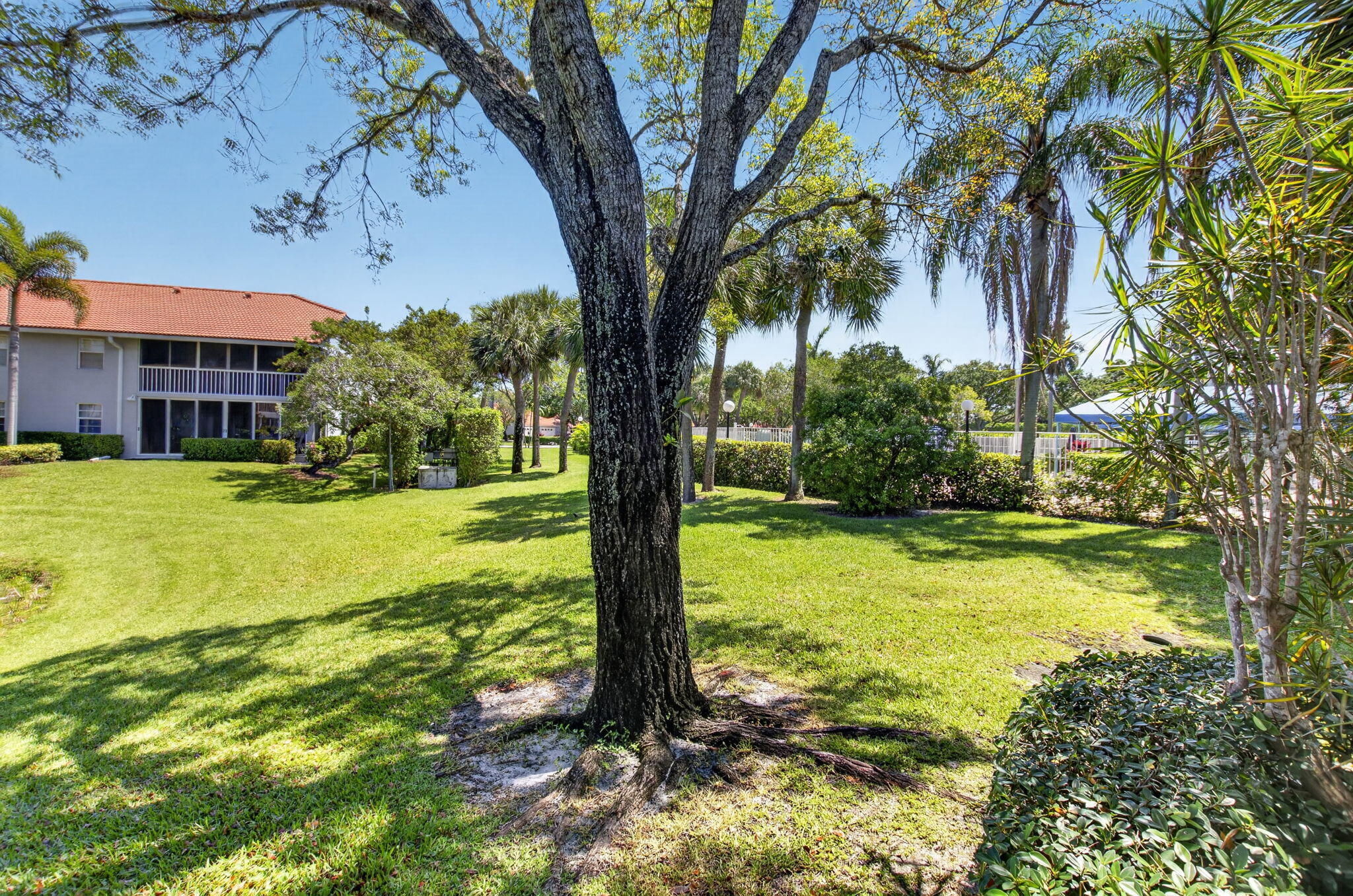 7669 Springwater Place, Unit 102 Boynton Beach, FL 33437 - Photo 42 of 116 a view of a house with yard and tree s