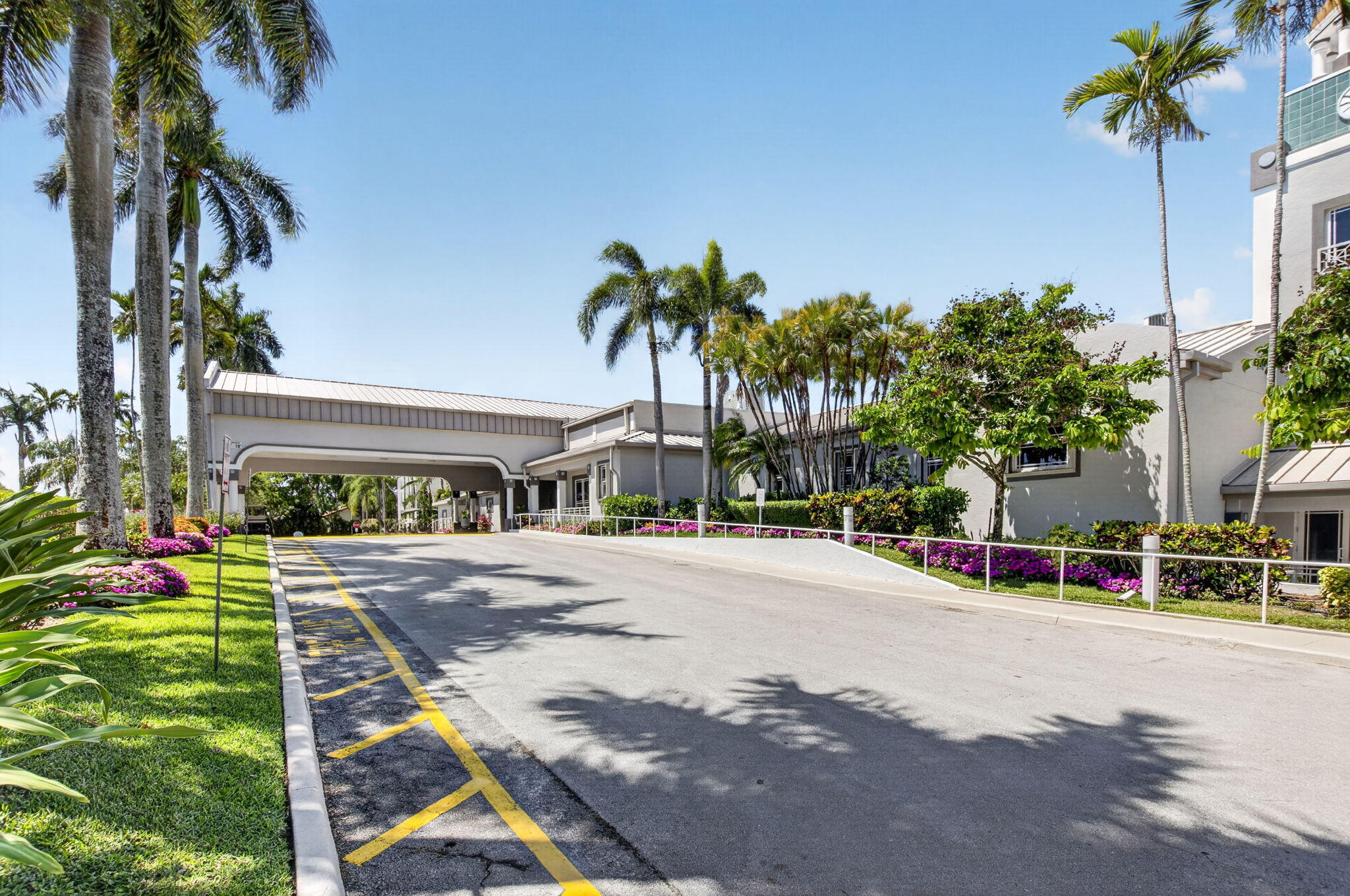 7669 Springwater Place, Unit 102 Boynton Beach, FL 33437 - Photo 85 of 116 a palm tree sitting in front of a house with a yard