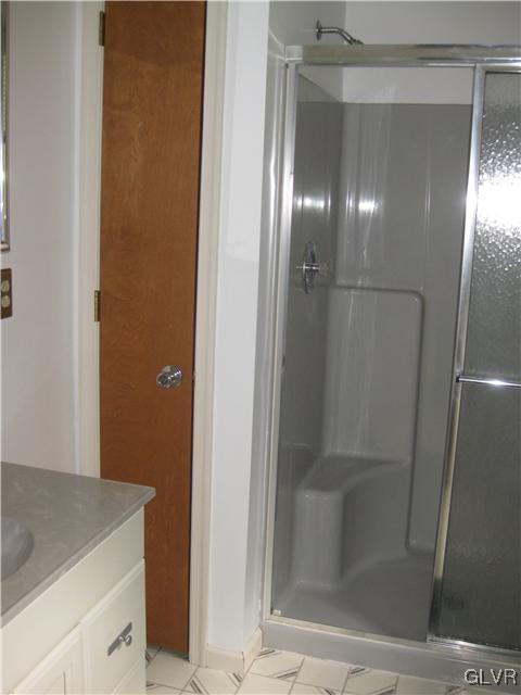 358 Blue Ridge Road Saylorsburg, PA 18353 - Photo 16 of 43 a bathroom with a shower and a sink