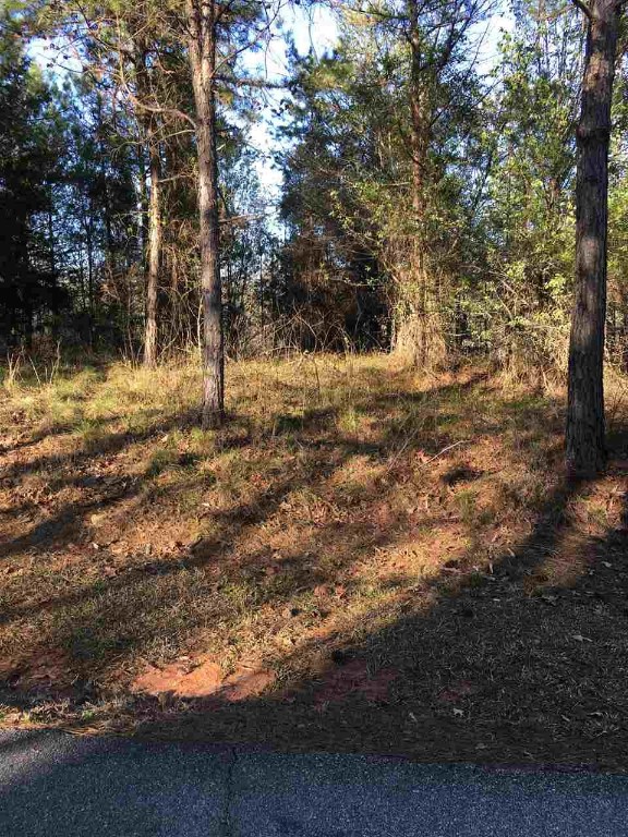 Lot 22 Talons Point Road Seneca, SC 29672 - Photo 6 of 12 Gallery Image 6