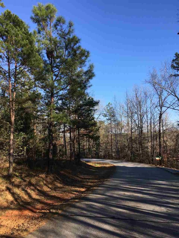 Lot 22 Talons Point Road Seneca, SC 29672 - Photo 8 of 12 Gallery Image 8