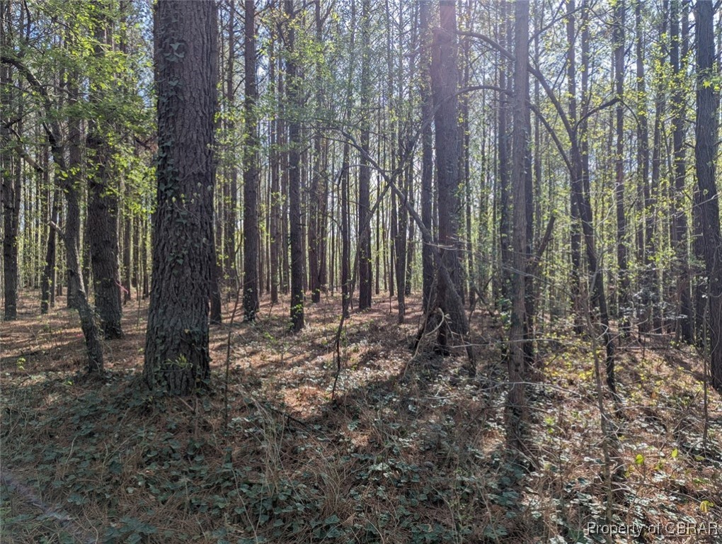 0 Silver Ridge Road Locust Hill, VA 23092 - Photo 2 of 8 Gallery Image 2