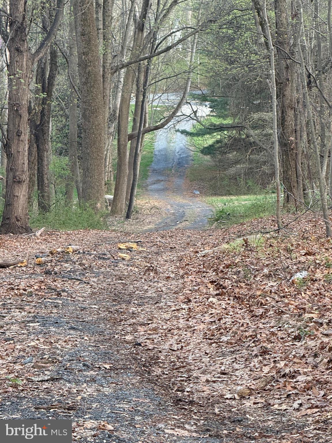 810 West Watersville Road Mount Airy, MD 21771 - Photo 4 of 8