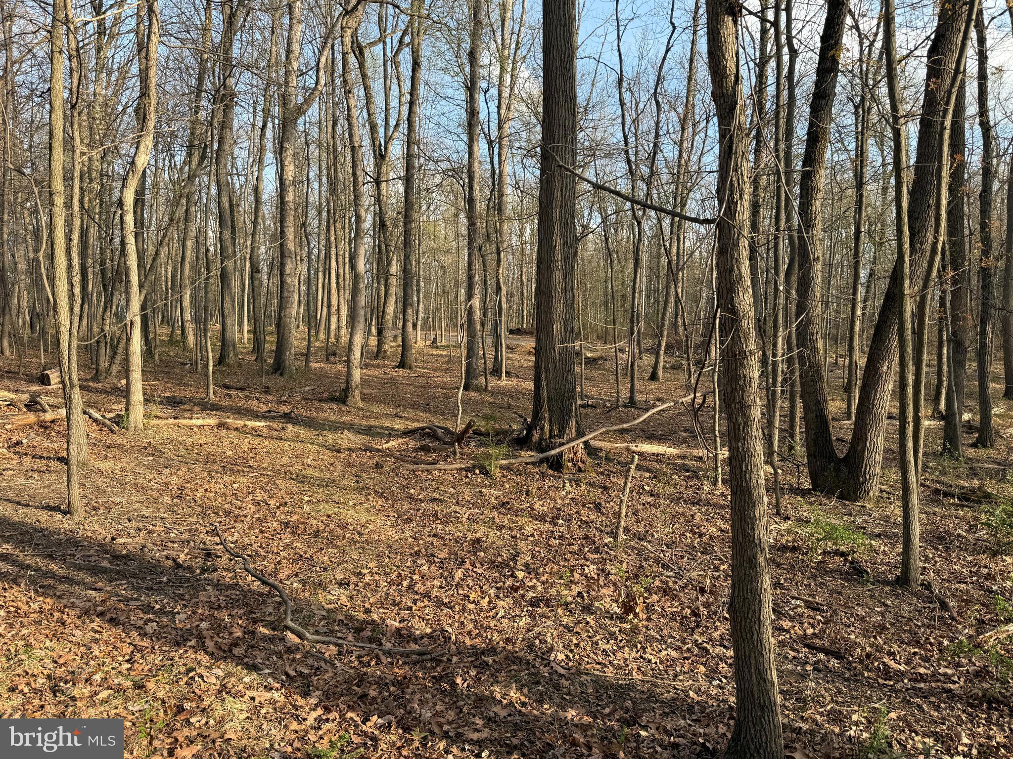 810 West Watersville Road Mount Airy, MD 21771 - Photo 5 of 8