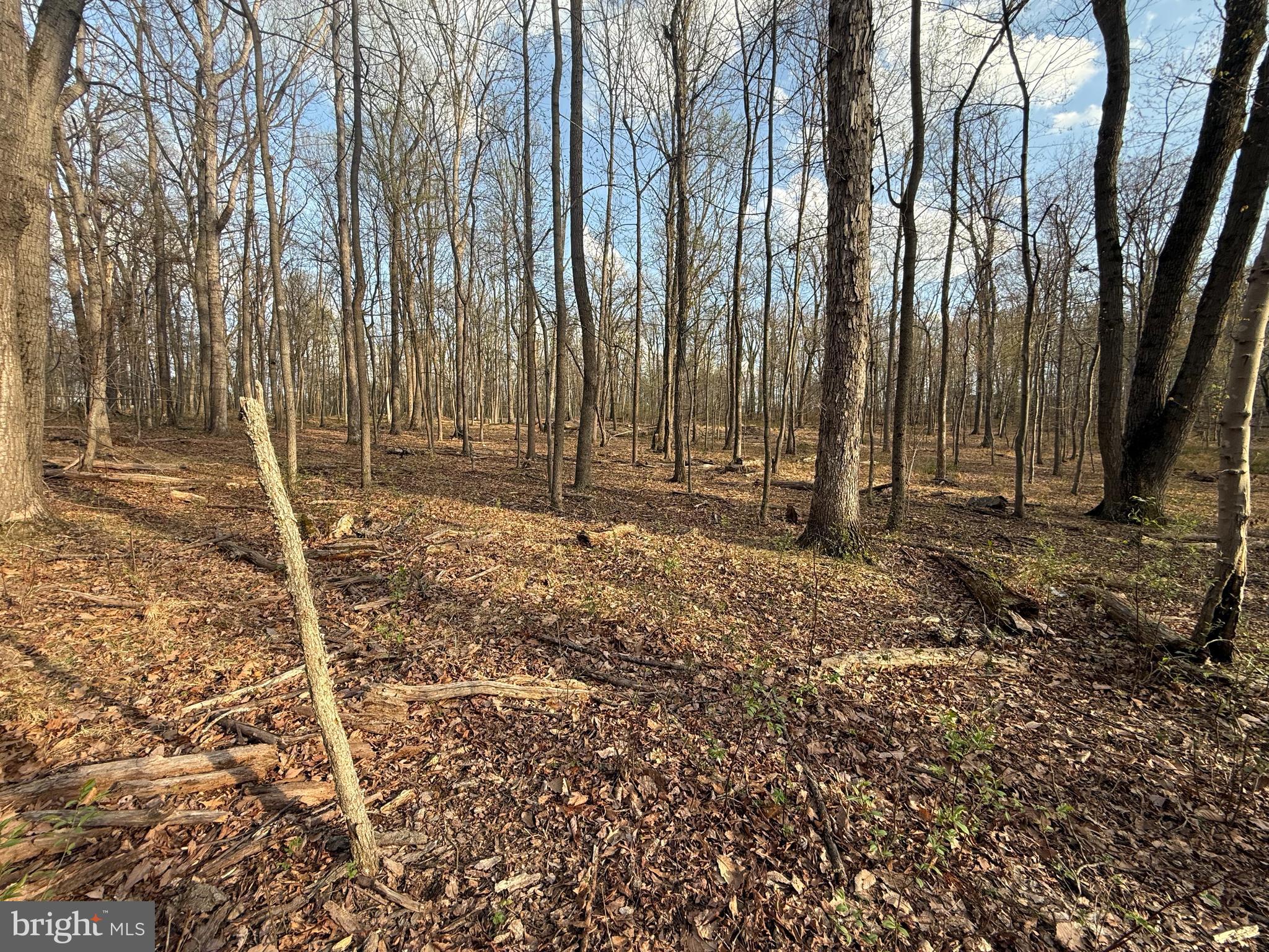 810 West Watersville Road Mount Airy, MD 21771 - Photo 6 of 8