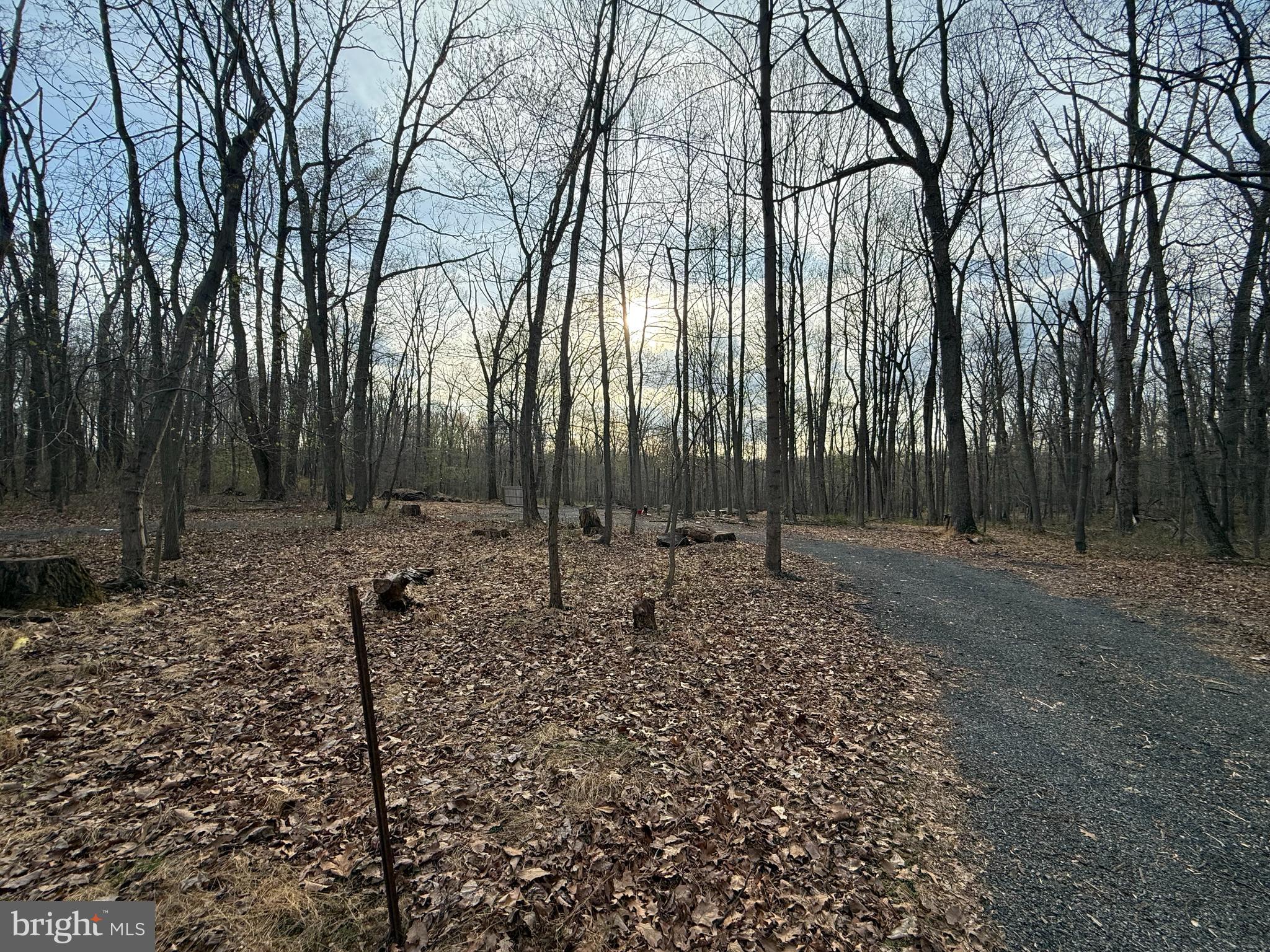 810 West Watersville Road Mount Airy, MD 21771 - Photo 7 of 8