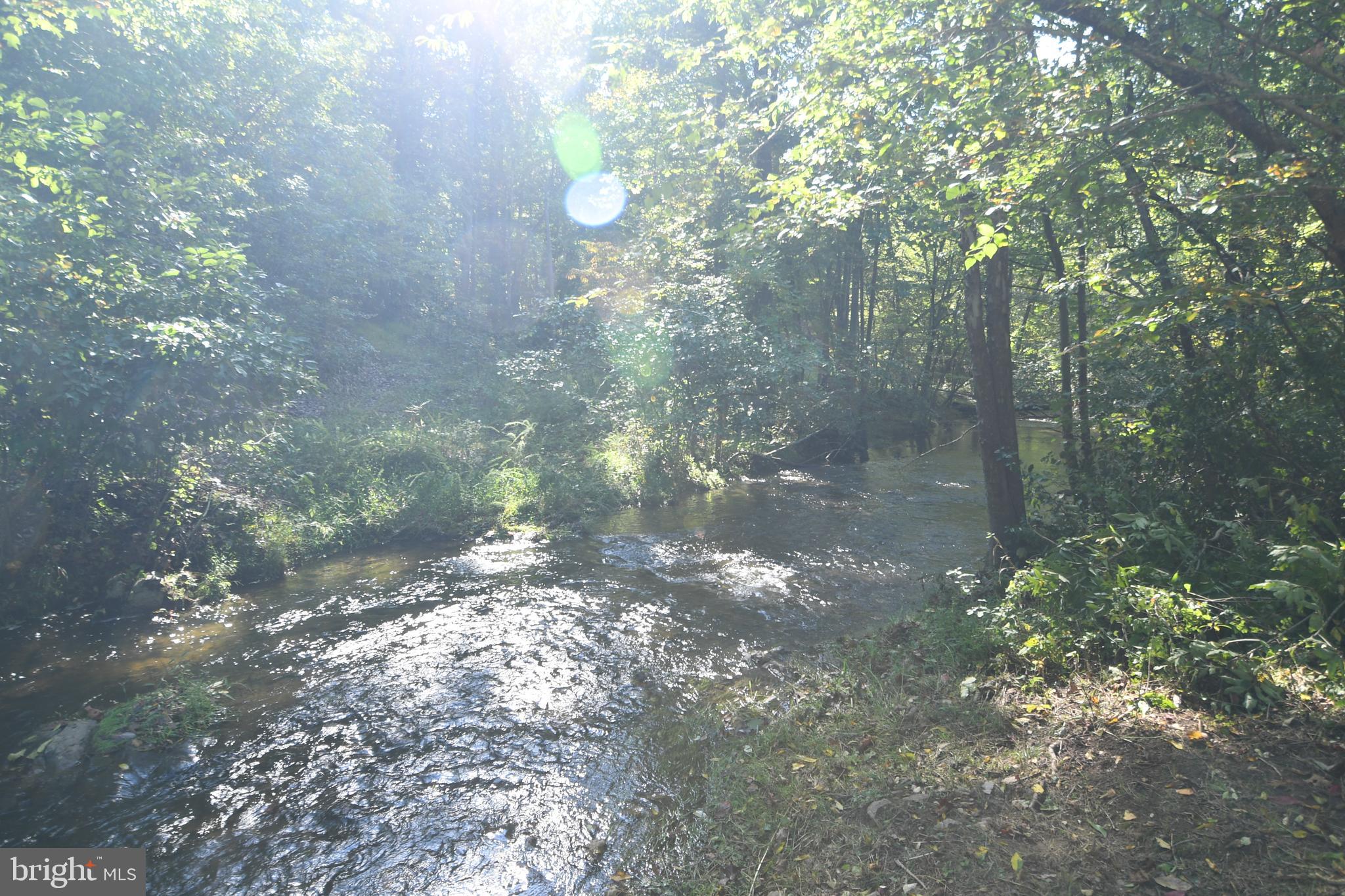 Dismal Hollow Road Front Royal, VA 22630 - Photo 1 of 3 a view of a tree in a yard