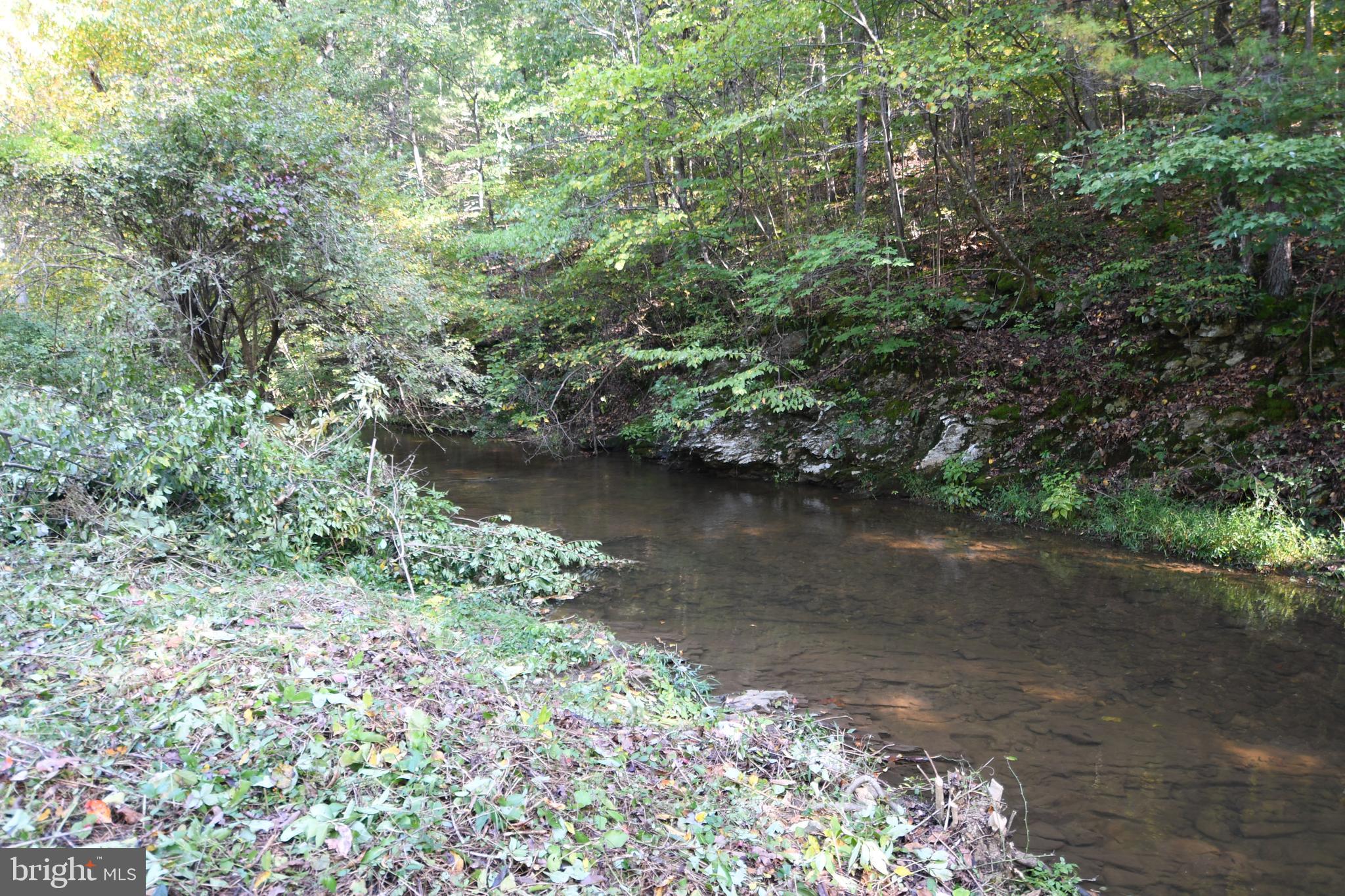 Dismal Hollow Road Front Royal, VA 22630 - Photo 2 of 3 a view of lake with green space