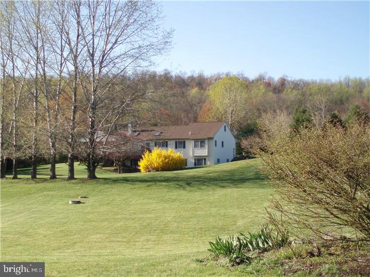 491 Furnace Road Birdsboro, PA 19508 - Photo 1 of 8 Back Yard