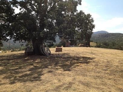 19942 Banducci Road Tehachapi, CA 93561 - Photo 6 of 11 Gallery Image 6