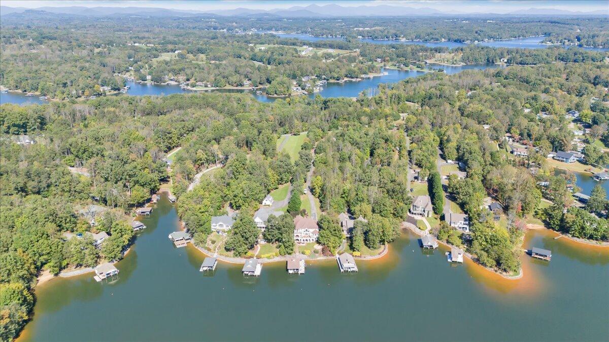 2580 Lakewood Forest Road Moneta, VA 24121 - Photo 89 of 103 070-DJI_20241009124924_0006_D