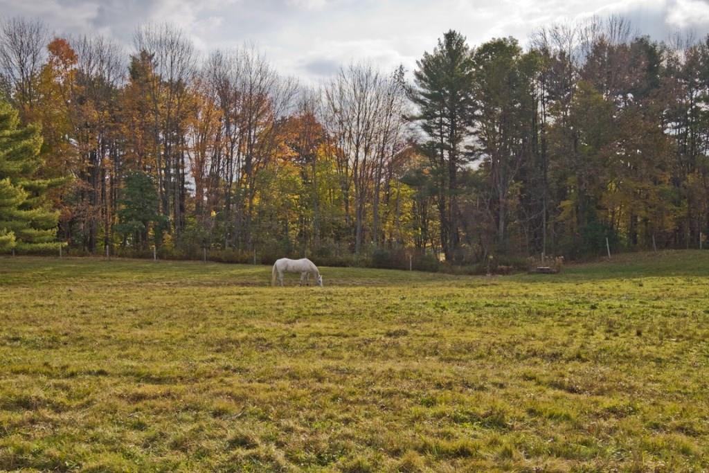 12 Roos Hill Road Freeport, ME 04032 - Photo 35 of 35 Photo
