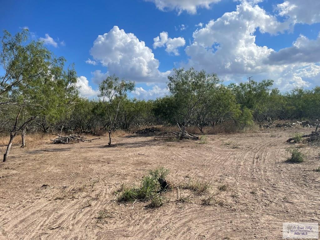 33223 Barlow Road San Benito, TX 78586 - Photo 5 of 12
