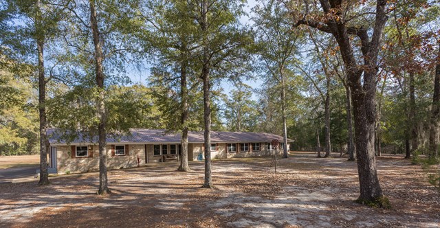 1079 Truitt Road Gordon, AL 36343 - Photo 1 of 1 Main View