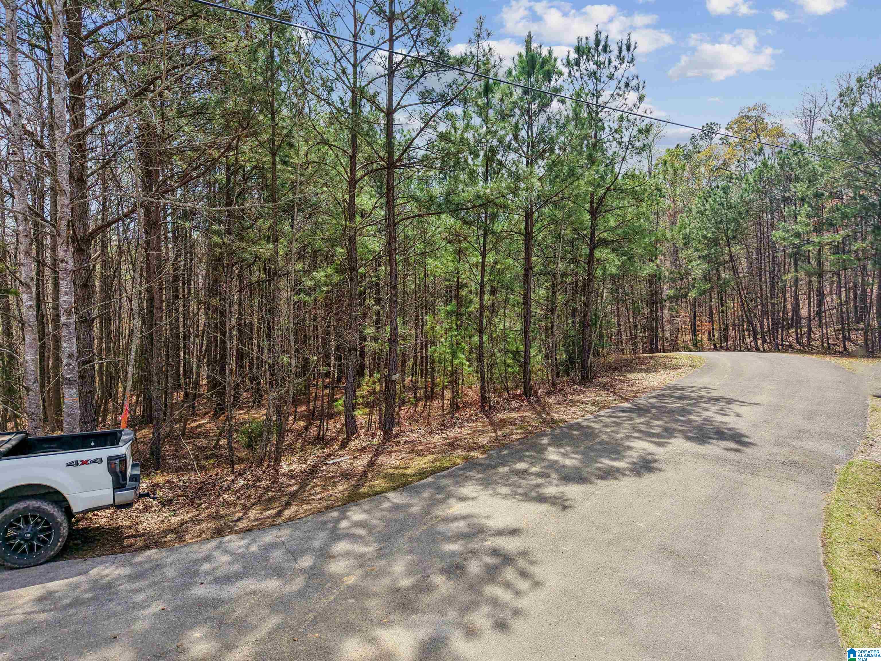 130 Mohawk Court, Unit LOT 1 Ohatchee, AL 36271 - Photo 10 of 17