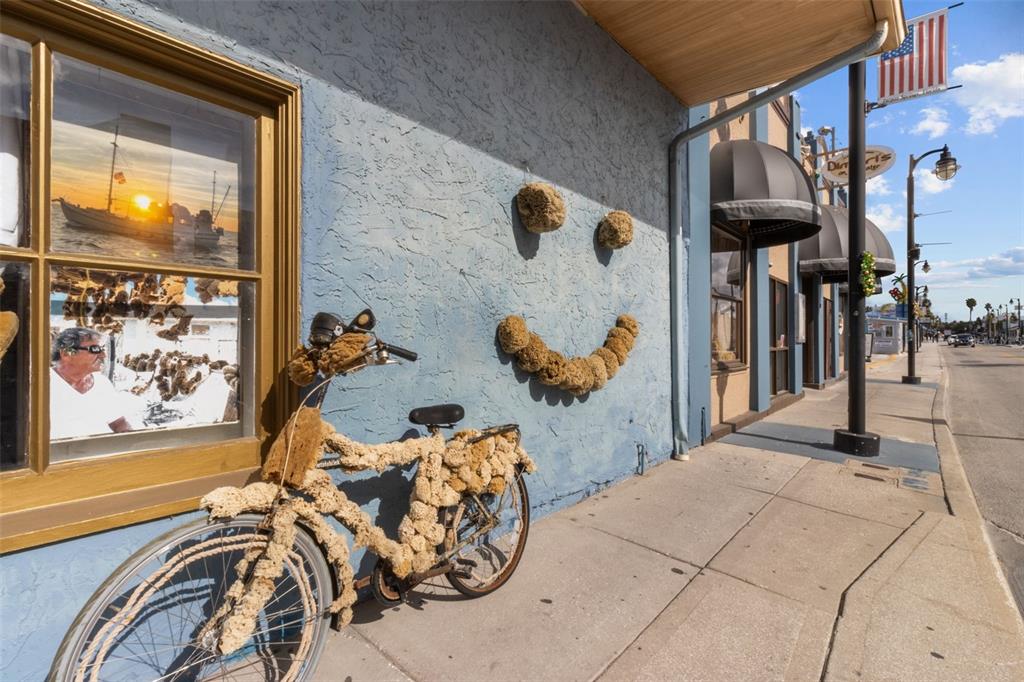 731 Brittany Park Boulevard Tarpon Springs, FL 34689 - Photo 37 of 41