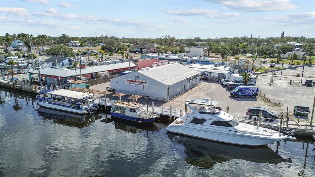 731 Brittany Park Boulevard Tarpon Springs, FL 34689 - Photo 39 of 41