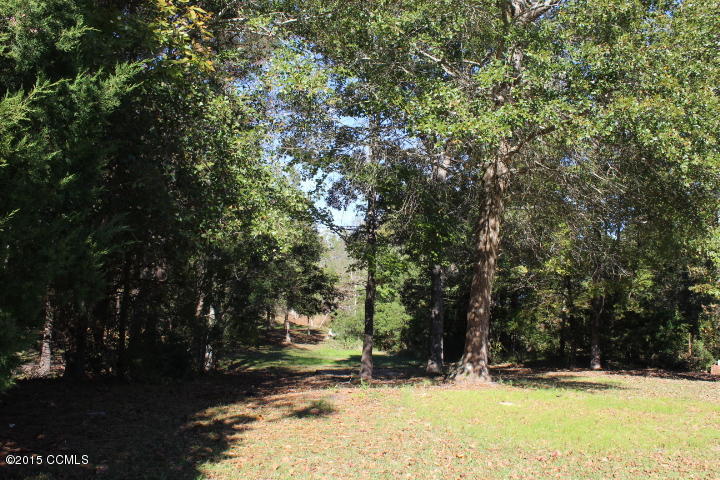 371 Great Neck Landing Road Hubert, NC 28539 - Photo 24 of 25 Back yard