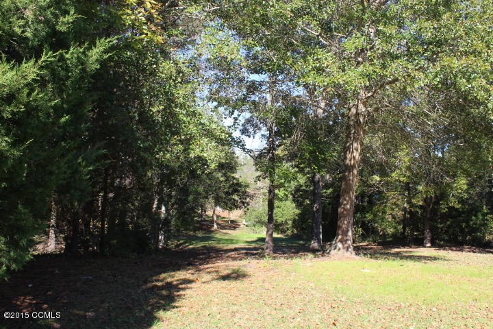 371 Great Neck Landing Road Hubert, NC 28539 - Photo 25 of 25 Back yard