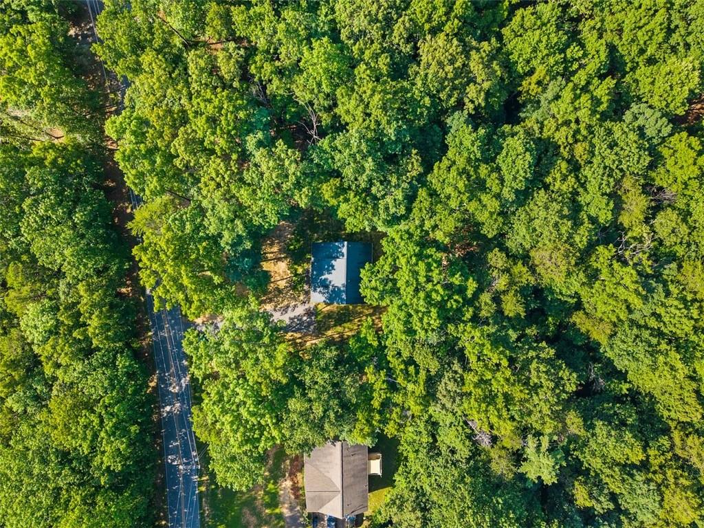 280 Sleepy Hollow Road Dahlonega, GA 30533 - Photo 45 of 48