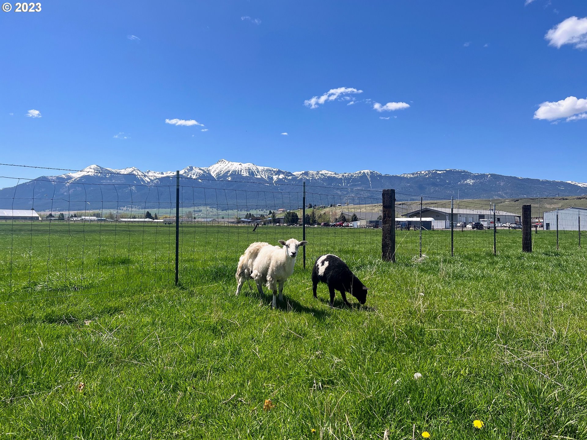 Northwest 2nd Street Enterprise, OR 97828 - Photo 3 of 9 a view of yard with table and chairs