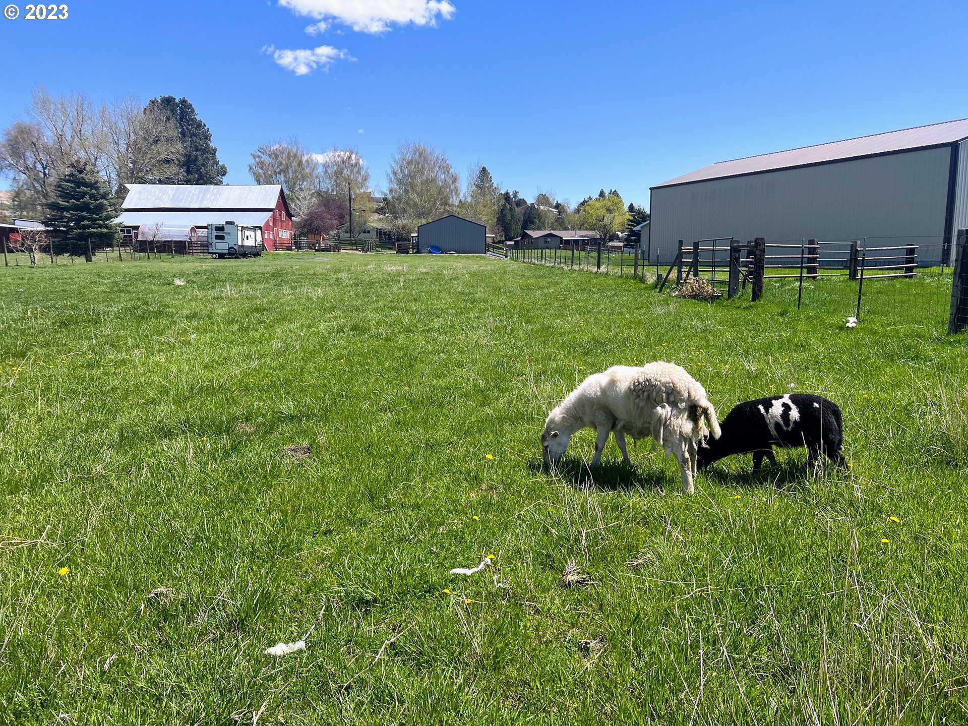 Northwest 2nd Street Enterprise, OR 97828 - Photo 9 of 9 a view of a golf course with chairs