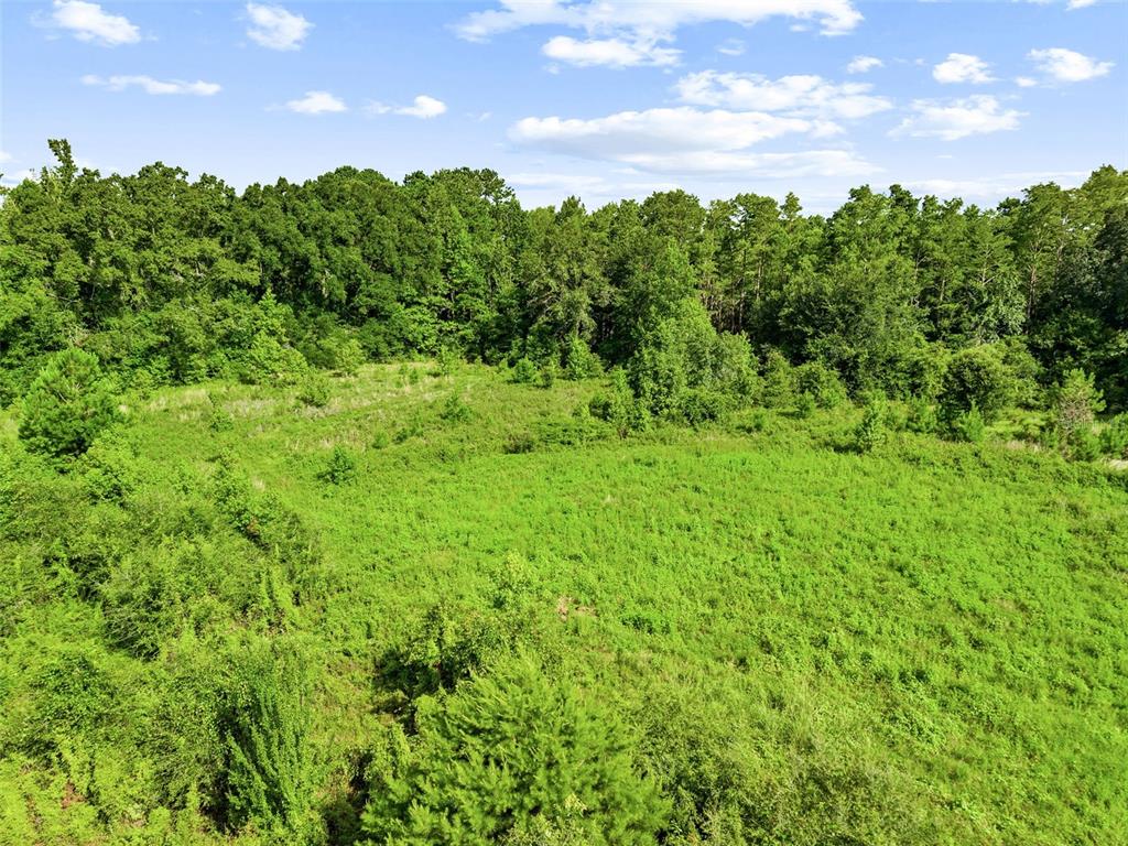 2853 R M Ward Road Ponce de Leon, FL 32455 - Photo 14 of 14 Gallery Image 14