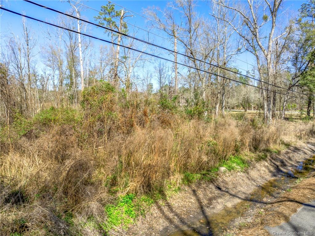 0 Cascio Road Lake Charles, LA 70611 - Photo 6 of 7