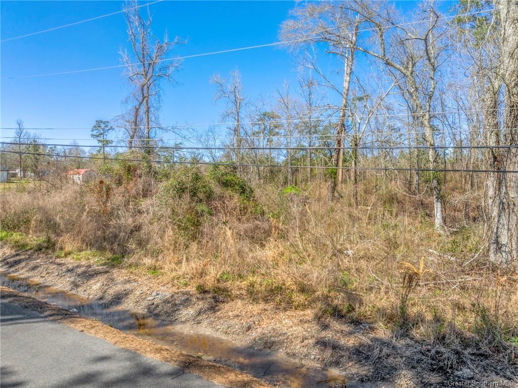 0 Cascio Road Lake Charles, LA 70611 - Photo 7 of 7