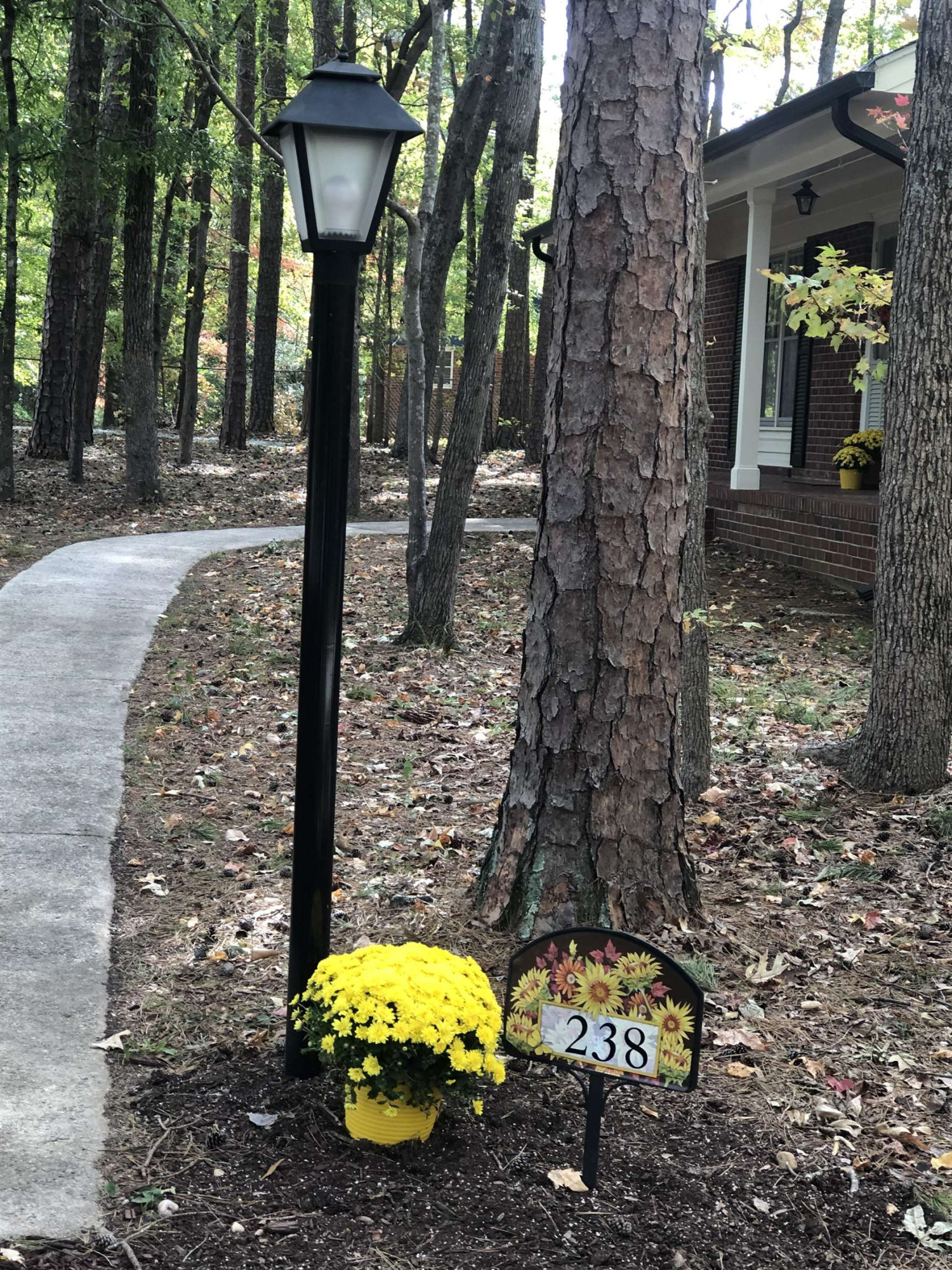 238 Goodwin Road Durham, NC 27712 - Photo 24 of 36 Photo 24