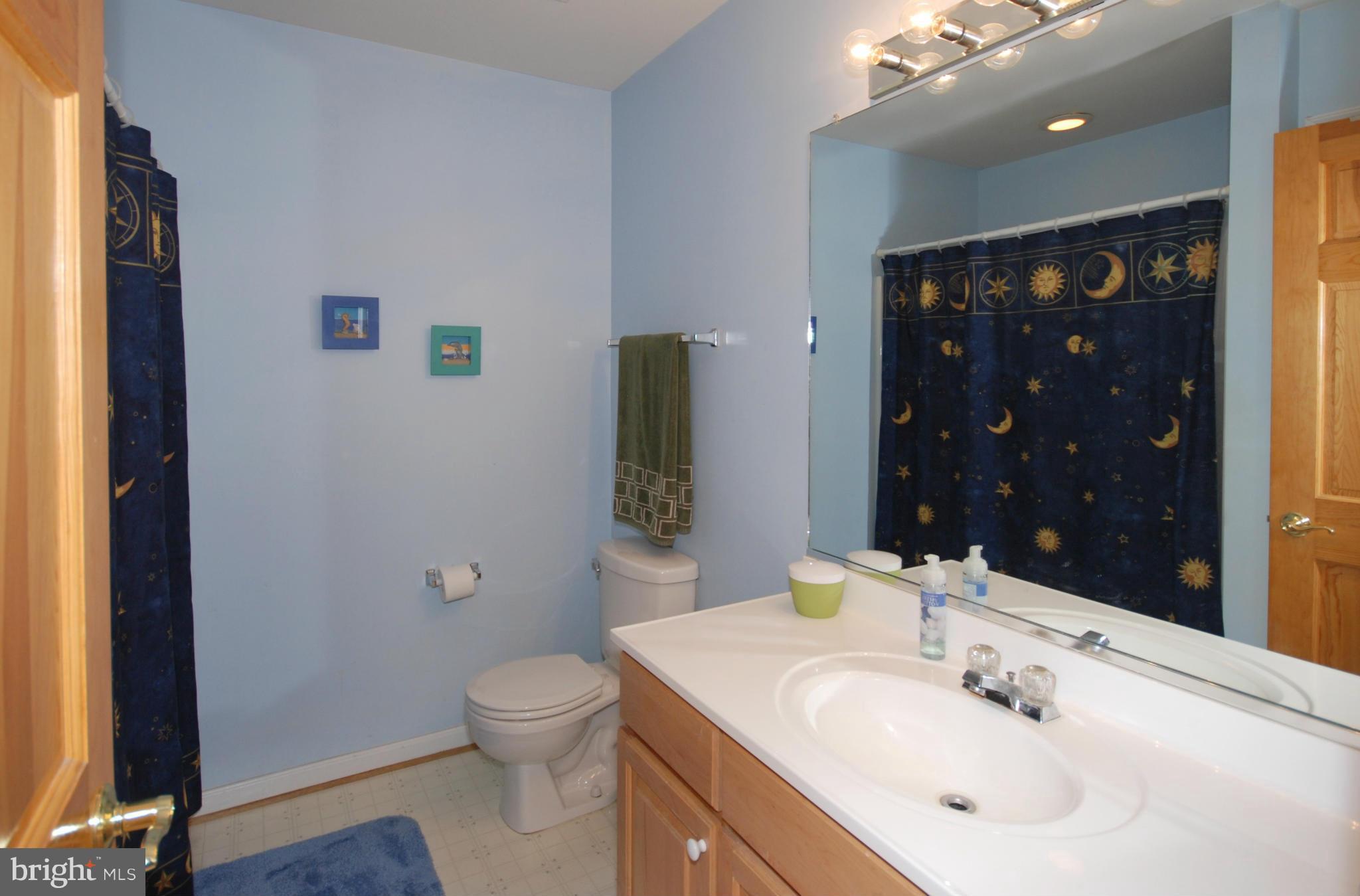 2118 Laurel Grove Road Winchester, VA 22602 - Photo 14 of 29 a bathroom with a toilet a sink and mirror
