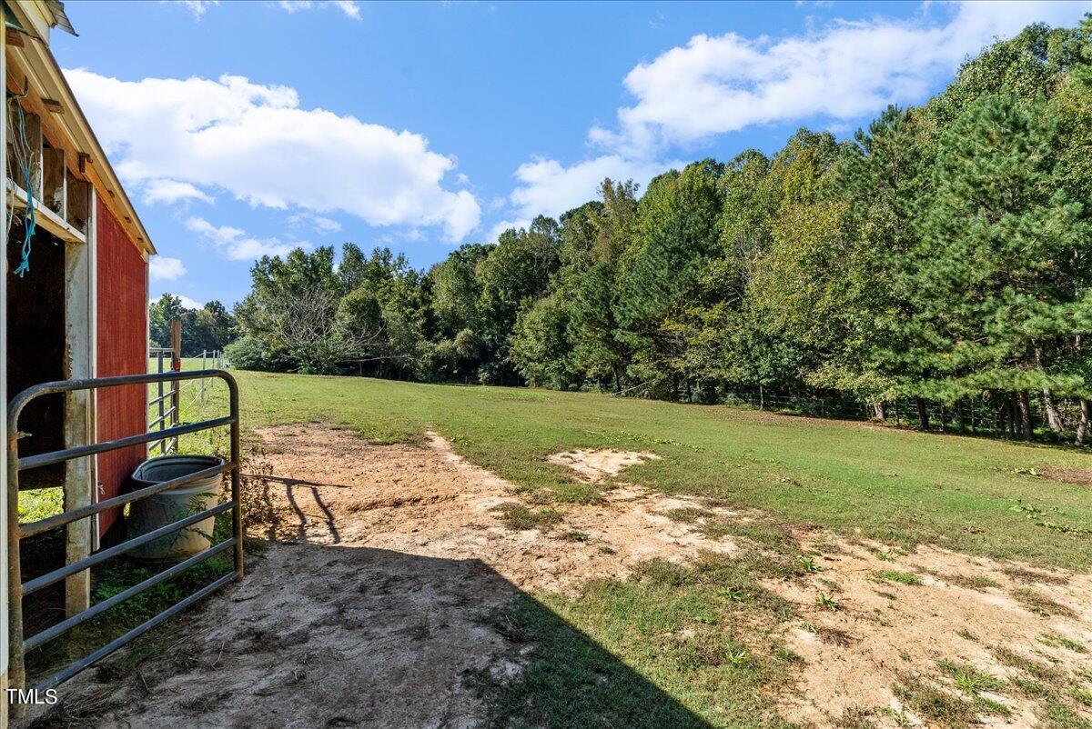3565 Mack Brummitt Road Kittrell, NC 27544 - Photo 15 of 40 15-DSC02798