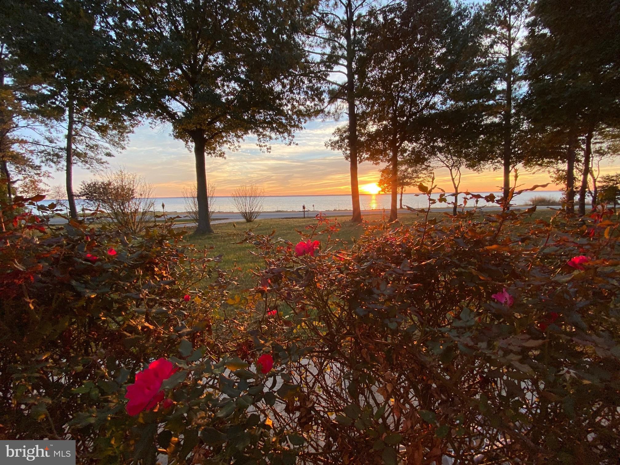 16300 Thomas Road Piney Point, MD 20674 - Photo 71 of 89