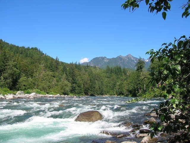50017 Mt Index Road Gold Bar, WA 98251 - Photo 2 of 19
