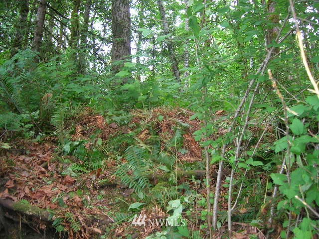 50017 Mt Index Road Gold Bar, WA 98251 - Photo 11 of 19