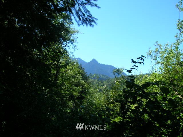 50017 Mt Index Road Gold Bar, WA 98251 - Photo 18 of 19