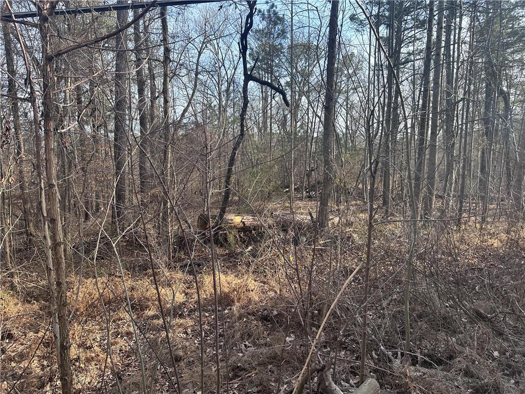 4386 Old Fairburn Road South Fulton, GA 30349 - Photo 5 of 5 a view of a yard with a tree