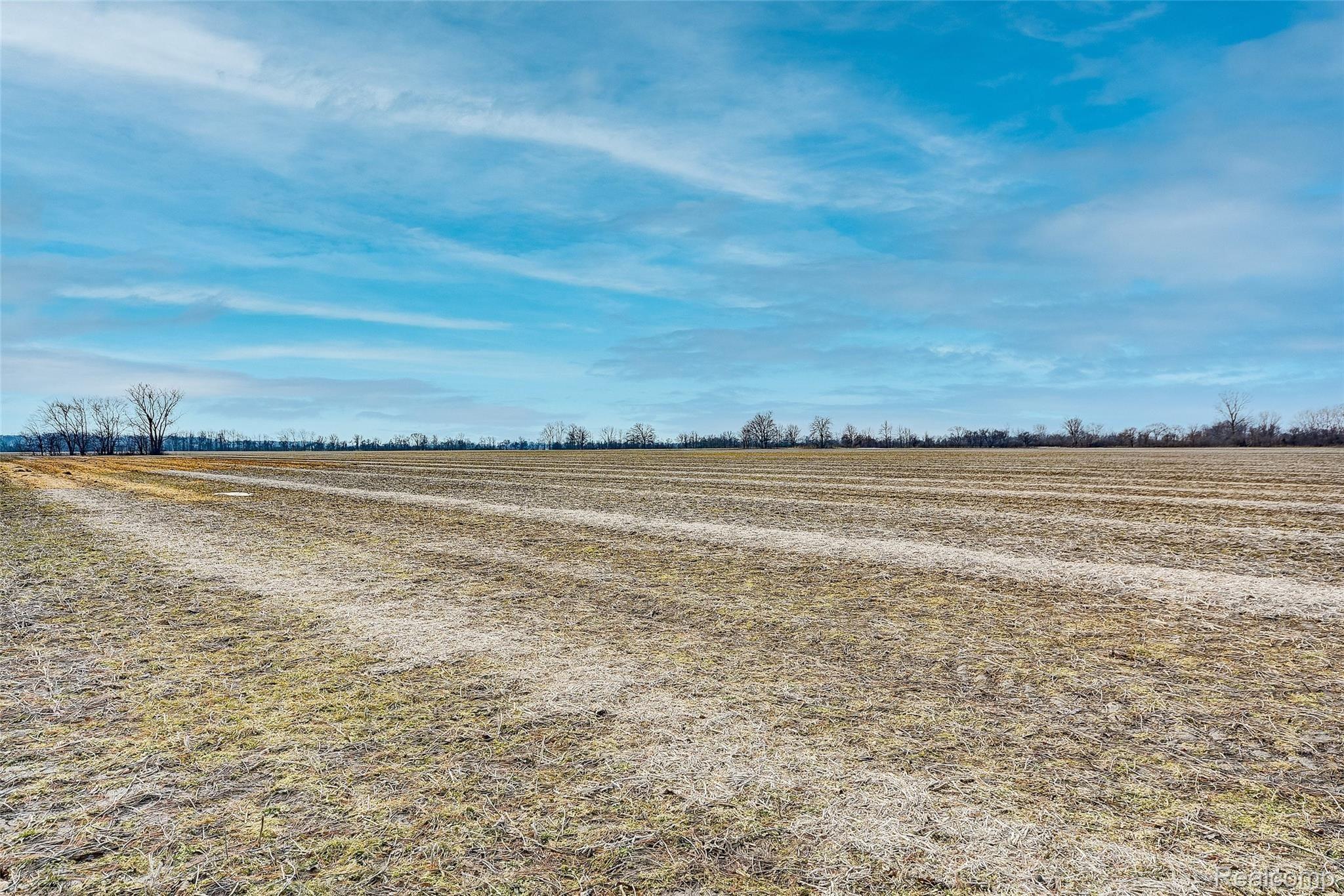 18333 Hickory Road Milan, MI 48160 - Photo 52 of 56 42.jpg